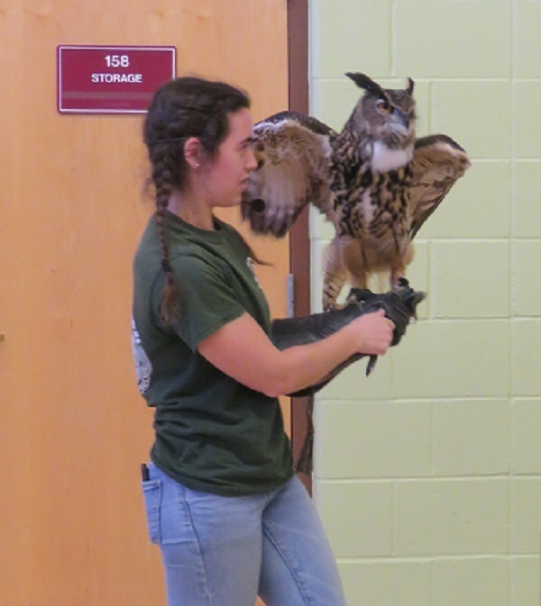 Animal Adventures Presentation Highbridge Hill Elementary